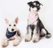 Touchdog 'Dizzy-Eyed Cyclops' Cotton Velcro Dog Bandana and Scarf - Blue - Medium