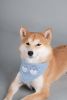 Touchdog 'Dizzy-Eyed Cyclops' Cotton Velcro Dog Bandana and Scarf - Blue - Medium
