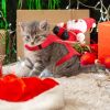 Pet Christmas Costumes Red Winter Coat for Dog Riding Santa Claus with Bell Clothes New Year Outfit Cosplay Costumes Party Dress Up For Cats - XL