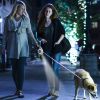 16FT Retractable Dog Leash Extendable Pet Leash Dog Walking Leash with Flashlight RGB Light 2 Rolls of Waste Bags Dispenser Fit for 66-110lbs - Green