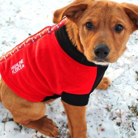 Highline Fleece Coat-Red and Black With Rolling Bones (size: Size 16)