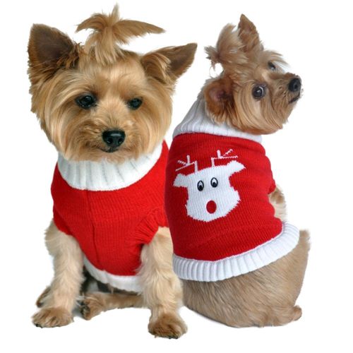Dog Cable Knit 100% Cotton Sweater Red Rudolph Holiday